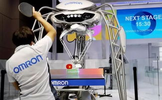 聚焦进博会 三成参展企业来自“一带一路”沿线，共绘经贸合作新图景